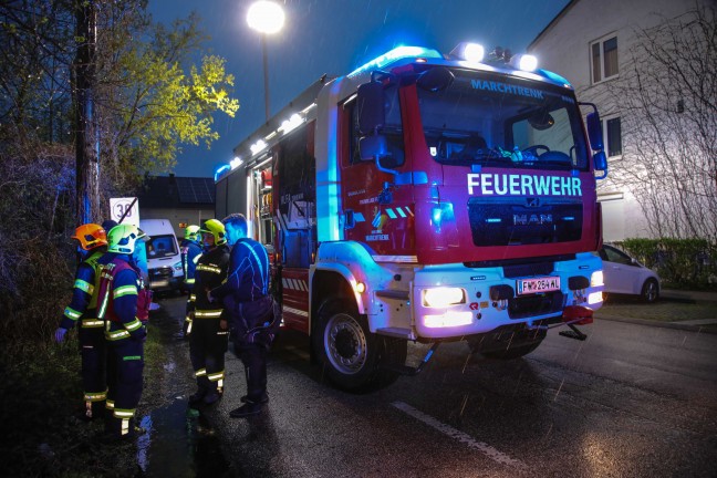 	Feuerwehr fischte in Marchtrenk großen Ast und viel Müll aus dem Moserbach