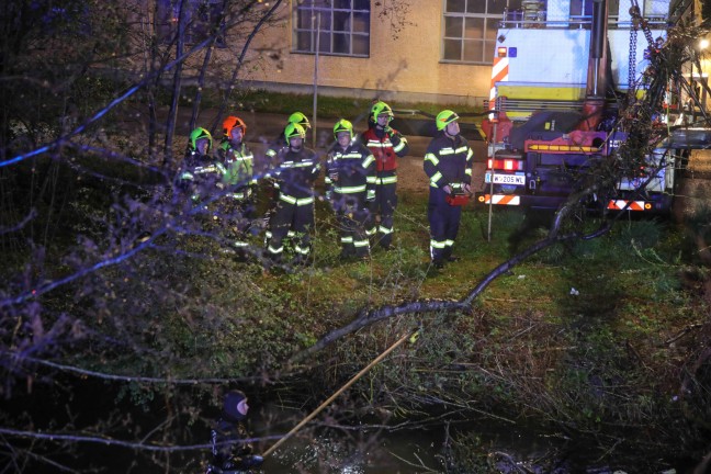 	Feuerwehr fischte in Marchtrenk großen Ast und viel Müll aus dem Moserbach