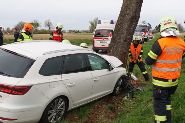 	Lenker verletzt: Auto bei Verkehrsunfall in Thalheim bei Wels frontal gegen Baum gekracht