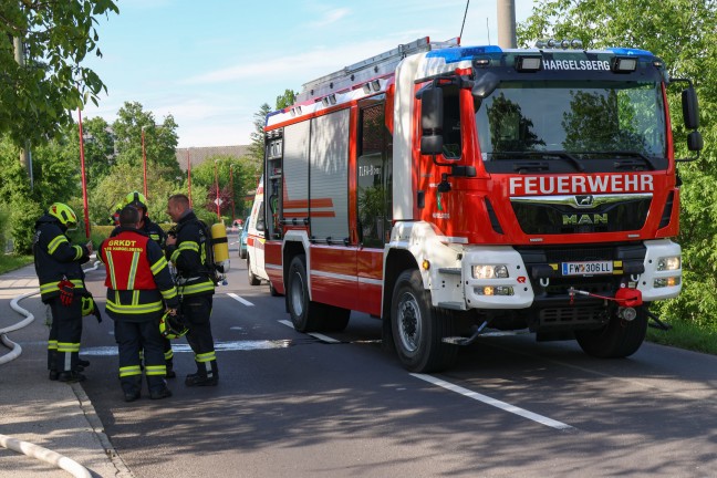 	Wohnungsmieter eingeschlafen: Küchenbrand in Kronstorf fordert zwei Verletzte