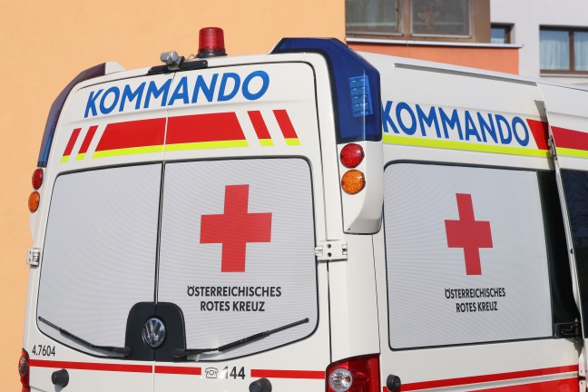 Drohnen, Polizei, Such- und Rettungshunde - Einsatzkrfte bei Personensuche in Wels im Einsatz