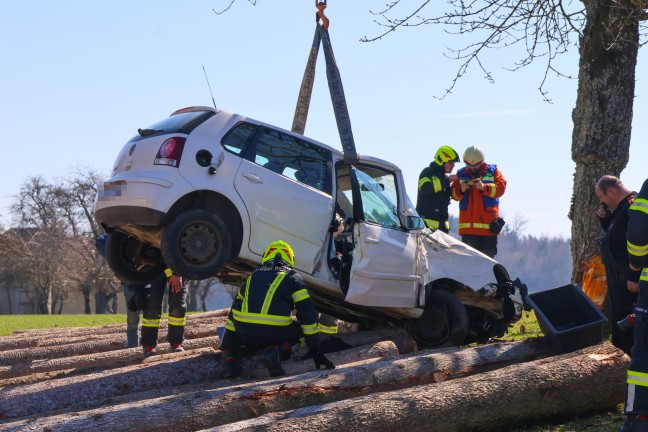 Frontalcrash gegen Baum: Verkehrsunfall in Schllberg fordert zwei Schwerverletzte