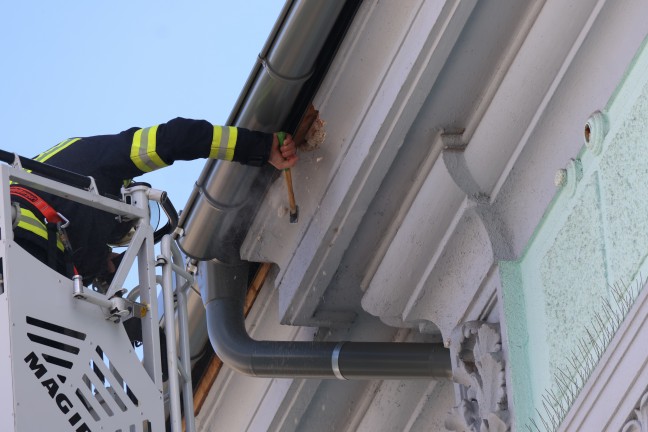 Grere Teile einer Stuckfassade an einem Gebude in Wels-Innenstadt abgestrzt