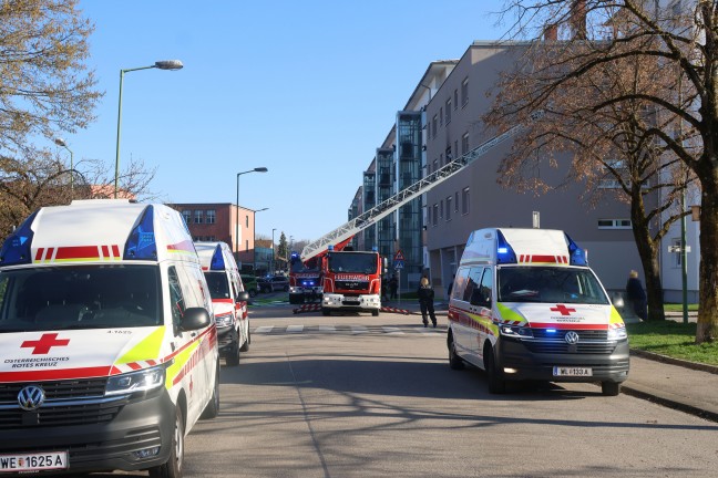 "Wohnung zugemllt": Schwieriger Lscheinsatz bei ausgedehntem Wohnungsbrand in Wels-Vogelweide