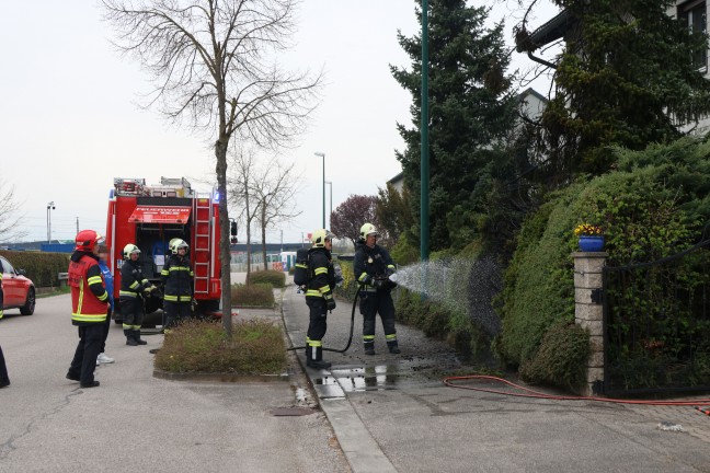 Lschangriff mit Gartenschlauch: Brand eines Baumes drohte in Wels-Vogelweide auf Haus berzugreifen