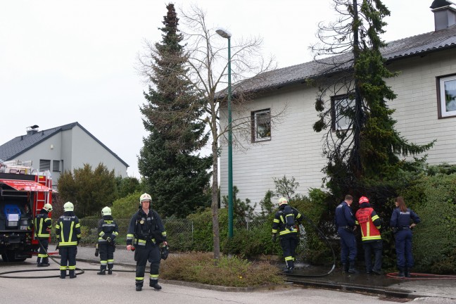 Lschangriff mit Gartenschlauch: Brand eines Baumes drohte in Wels-Vogelweide auf Haus berzugreifen