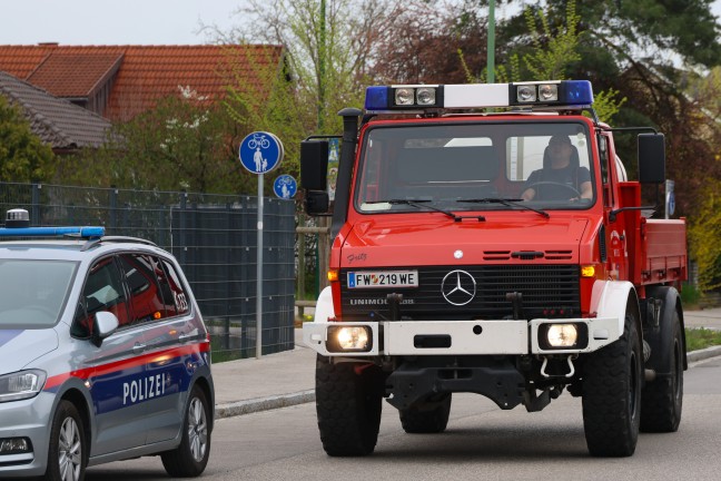 Lschangriff mit Gartenschlauch: Brand eines Baumes drohte in Wels-Vogelweide auf Haus berzugreifen
