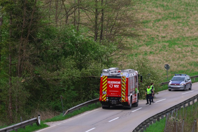 Fhnsturm ber Obersterreich: Rund 80 Einstze der Feuerwehren zumeist aufgrund umgestrzter Bume