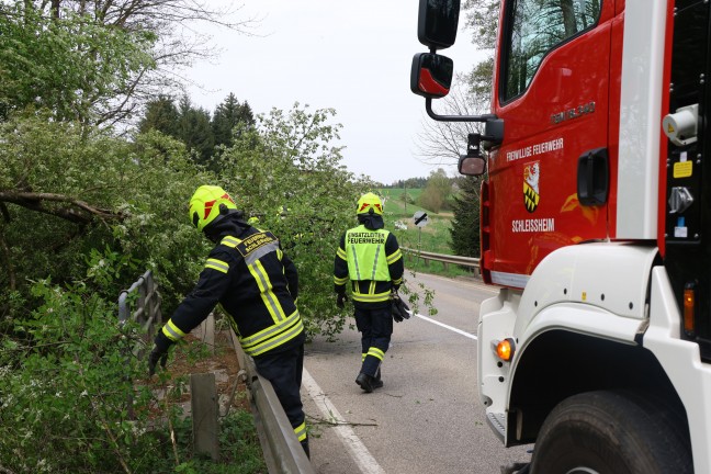 Fhnsturm ber Obersterreich: Rund 80 Einstze der Feuerwehren zumeist aufgrund umgestrzter Bume