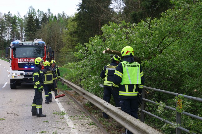 Fhnsturm ber Obersterreich: Rund 80 Einstze der Feuerwehren zumeist aufgrund umgestrzter Bume