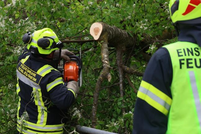 Fhnsturm ber Obersterreich: Rund 80 Einstze der Feuerwehren zumeist aufgrund umgestrzter Bume