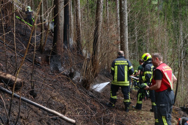 Fnf Feuerwehren bei grerem Waldbrand auf einem steilen Hang in Rosenau am Hengstpa im Einsatz