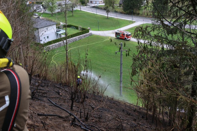 Fnf Feuerwehren bei grerem Waldbrand auf einem steilen Hang in Rosenau am Hengstpa im Einsatz