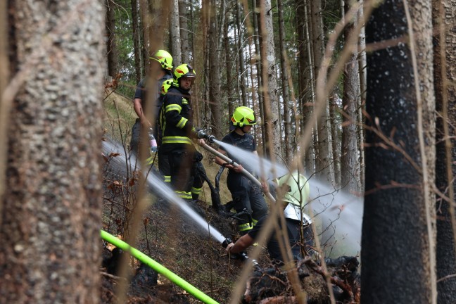 Fnf Feuerwehren bei grerem Waldbrand auf einem steilen Hang in Rosenau am Hengstpa im Einsatz
