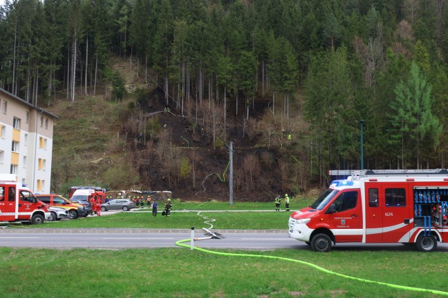 Fnf Feuerwehren bei grerem Waldbrand auf einem steilen Hang in Rosenau am Hengstpa im Einsatz