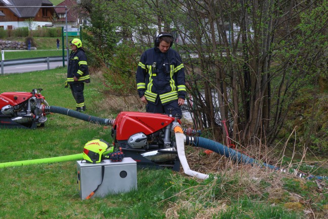 Fnf Feuerwehren bei grerem Waldbrand auf einem steilen Hang in Rosenau am Hengstpa im Einsatz