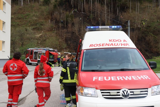 Fnf Feuerwehren bei grerem Waldbrand auf einem steilen Hang in Rosenau am Hengstpa im Einsatz