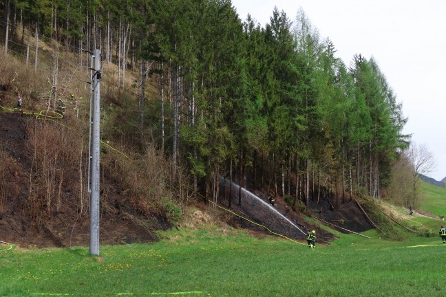 Fnf Feuerwehren bei grerem Waldbrand auf einem steilen Hang in Rosenau am Hengstpa im Einsatz