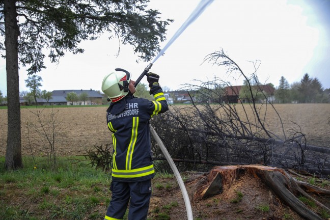 Drei Feuerwehren bei Brand in einem Waldstck in Sipbachzell im Einsatz