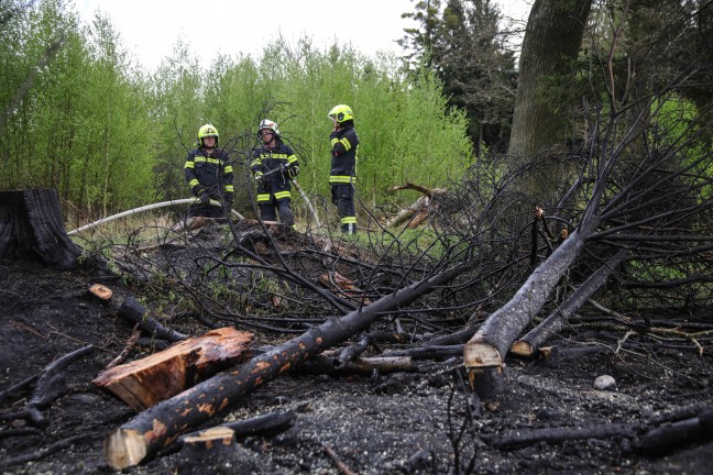 Drei Feuerwehren bei Brand in einem Waldstck in Sipbachzell im Einsatz