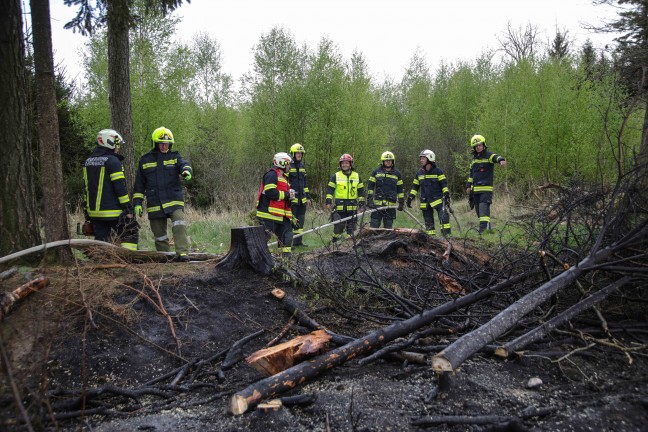 Drei Feuerwehren bei Brand in einem Waldstck in Sipbachzell im Einsatz