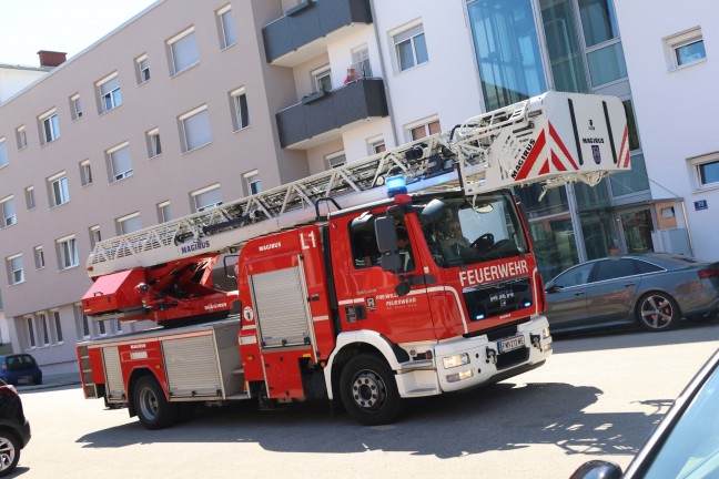 Verrauchte Wohnung und verrauchtes Stiegenhaus durch angebranntes Kochgut in Wels-Vogelweide