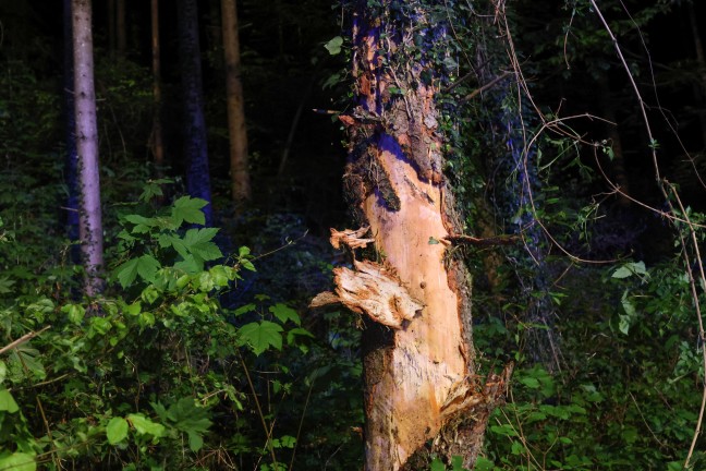 Auto bei schwerem Verkehrsunfall in Stadl-Paura gegen Baum gekracht