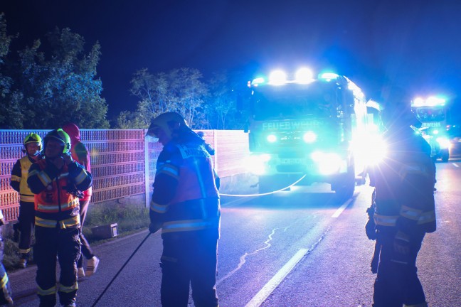 PKW auf Wiener Strae bei Marchtrenk offenbar wegen Reh gegen Lrmschutzwand gekracht