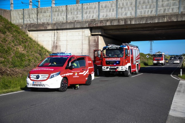 Kleinbrand entlang der Westbahnstrecke bei Marchtrenk vor Eintreffen der Feuerwehr gelscht