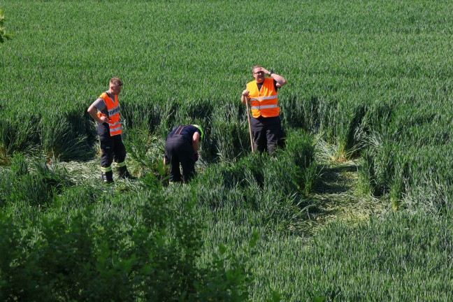 Auto bei Verkehrsunfall in Wolfern von Strae abgekommen und mehrmals heftig berschlagen