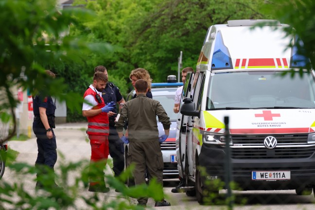 Personenrettung: Einsatzkrfte zu einer Person in Absturzgefahr in Wels-Pernau alarmiert