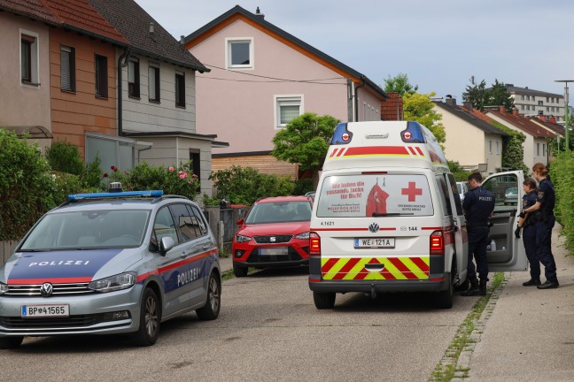 Personenrettung: Frau in Wels-Vogelweide mit Fu auf Terrasse eingeklemmt
