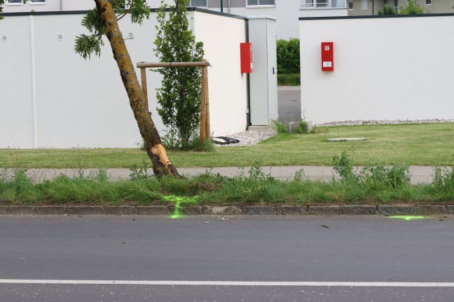 Auto nach Kreuzungscrash in Wels-Vogelweide gegen Baum gekracht