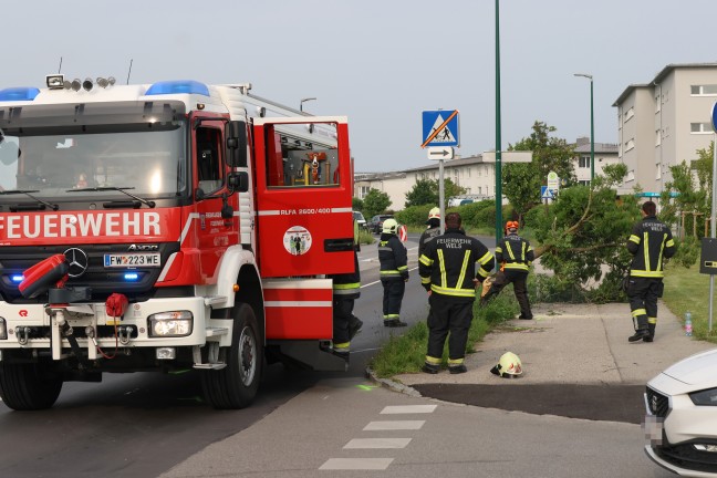 Auto nach Kreuzungscrash in Wels-Vogelweide gegen Baum gekracht