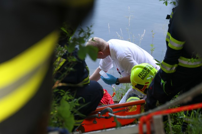 Personenrettung in Marchtrenk: Bub nach Sturz ber Bschung durch Feuerwehr aus der Traun gerettet