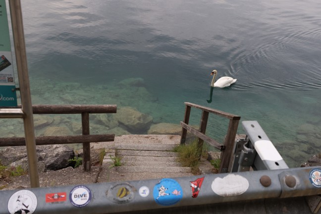 Steinbach am Attersee: Taucher (59) starb bei Aufstieg nach 70-Meter-Tauchgang im Attersee