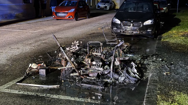 Gerippe blieb brig: Leichtfahrzeug in Steyr-Innere Stadt in Vollbrand
