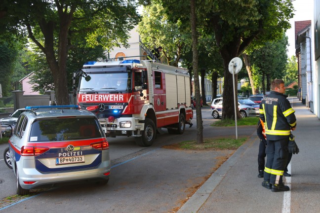 Taucheinsatz nach mglicherweise ins Wasser geworfener Tatwaffe im Mhlbach in Wels-Innenstadt