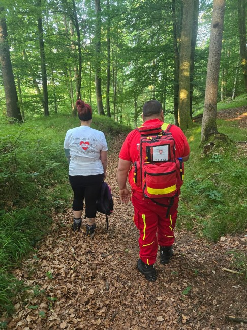 Elf Tage abgngig: Hndin "Cura" nach intensivem Sucheinsatz in Rstorf soweit wohlauf gefunden