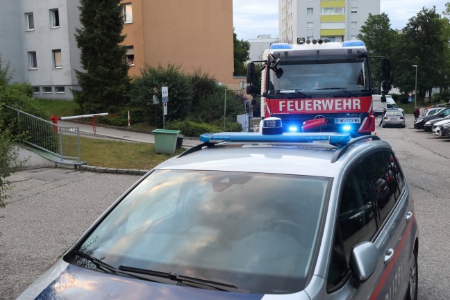 Mllinsel in einer Wohnanlage in Wels-Vogelweide in Vollbrand