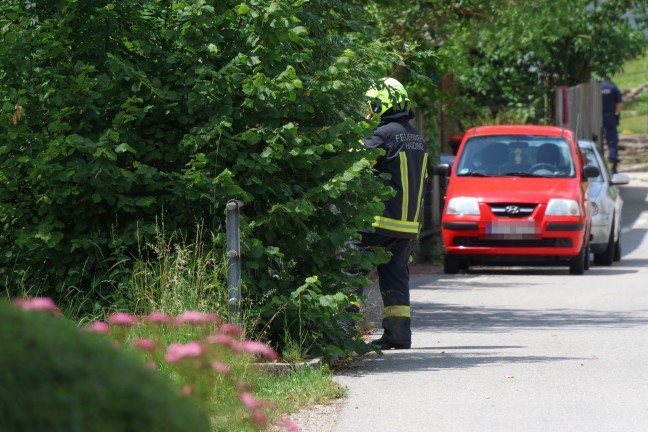 Tdlicher Sturz: Pensionist (86) in Krenglbach scheinbar mit Rollator in Bachbett gestrzt