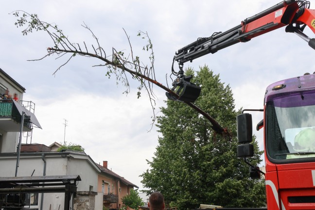 Wels-Lichtenegg: Baumstamm steckte im Bereich eines Kleinkraftwerks im Welser Mhlbach fest
