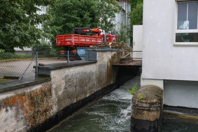 Wels-Lichtenegg: Baumstamm steckte im Bereich eines Kleinkraftwerks im Welser Mhlbach fest