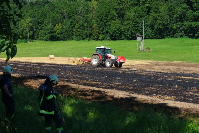 Hitze und Trockenheit: Mehrere Flur- und Feldbrnde beschftigen Einsatzkrfte in Obersterreich