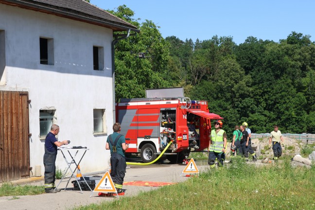 Hitze und Trockenheit: Mehrere Flur- und Feldbrnde beschftigen Einsatzkrfte in Obersterreich