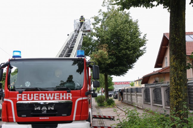 Sturmschaden: Groe ste drohten von Baum in Wels-Vogelweide auf die Strae zu strzen