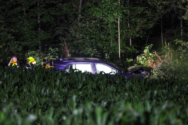 Schneise durch Maisfeld: Auto kracht nach Flucht vor Polizei in Gunskirchen gegen Bume am Waldrand