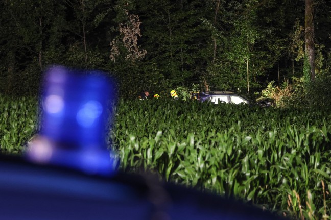Schneise durch Maisfeld: Auto kracht nach Flucht vor Polizei in Gunskirchen gegen Bume am Waldrand