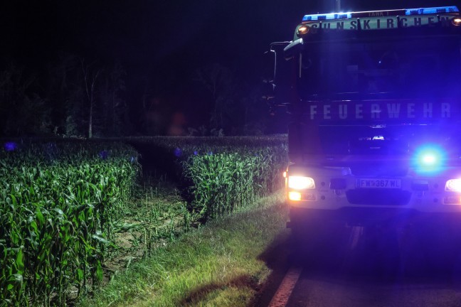Schneise durch Maisfeld: Auto kracht nach Flucht vor Polizei in Gunskirchen gegen Bume am Waldrand
