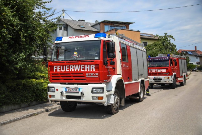 Rettung durch Feuerwehr: Rehbock suchte Abkhlung im Swimmingpool eines Hauses in Holzhausen
